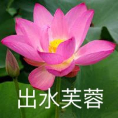 倾世西游手游腾讯版下载