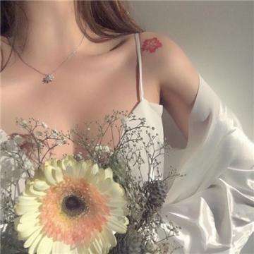 崩坏学园3公益服下载